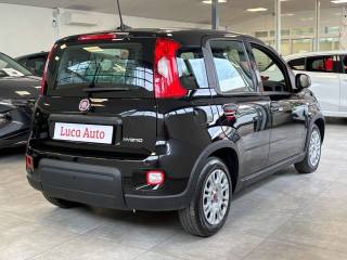 FIAT Panda usata, con Alzacristalli elettrici
