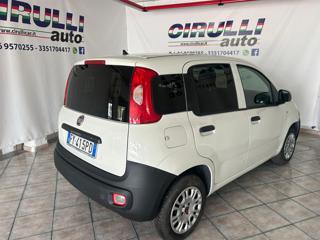 FIAT Panda usata, con Airbag Passeggero