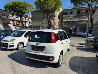 FIAT Panda usata, con Airbag