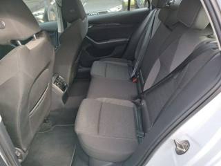 SKODA Octavia usata, con Fari Xenon
