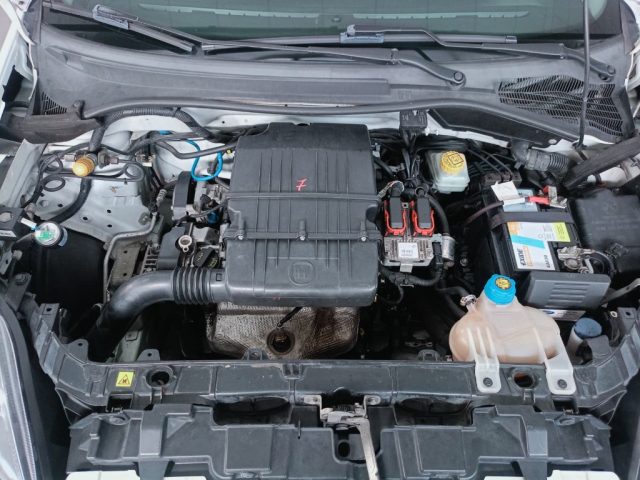 FIAT Punto Evo usata 19