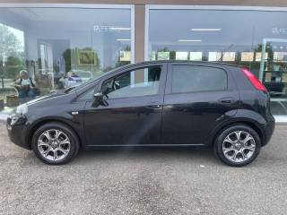 FIAT Punto 1.2 8V 5 porte Street