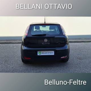 FIAT Punto usata, con Controllo trazione