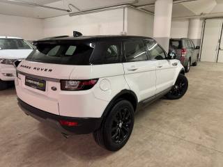 LAND ROVER Range Rover Evoque usata, con Antifurto