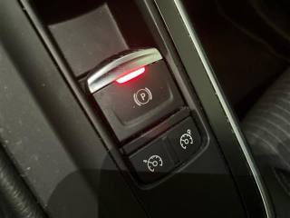 RENAULT Scenic usata, con Volante riscaldabile