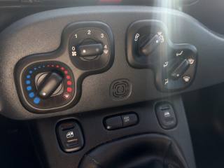 FIAT Panda usata 13