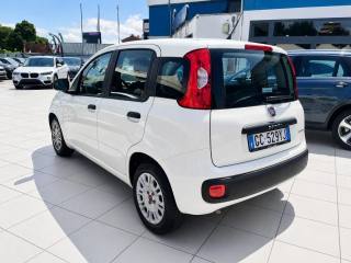 FIAT Panda usata, con Airbag Passeggero