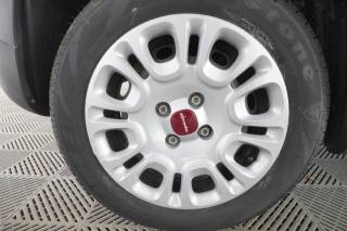 FIAT Panda usata 14