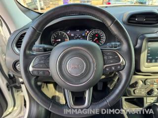 JEEP Renegade usata, con Cruise Control