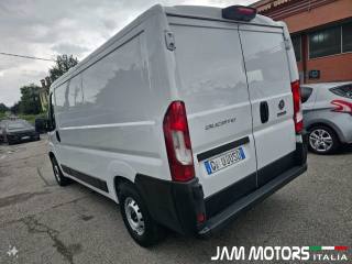 FIAT  usata 3