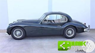 JAGUAR XK usata 4