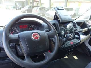 FIAT Ducato usata, con Fendinebbia