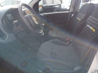 FIAT Panda usata, con Frenata d