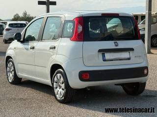 FIAT Panda usata 7