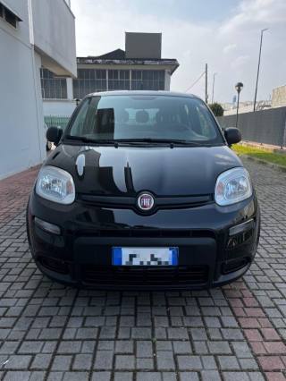 FIAT Panda usata, con Airbag Passeggero