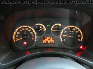 FIAT Panda usata 11