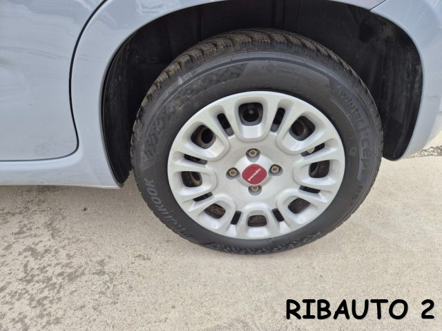FIAT Panda usata, con Luce d