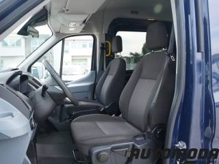 FORD Transit usata, con Servosterzo