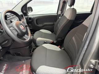 FIAT Panda usata, con Controllo automatico clima