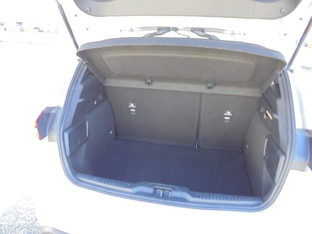 FORD Focus usata, con Specchietti laterali elettrici