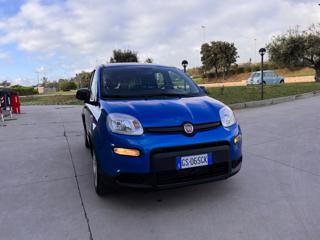FIAT Panda usata 48