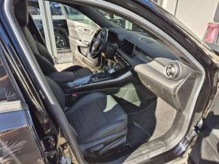 OTHERS-ANDERE Other usata 10