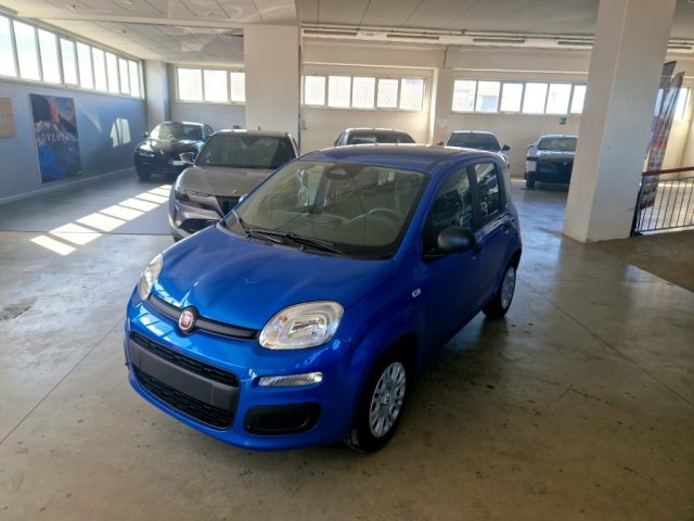 FIAT Panda usata, con Airbag