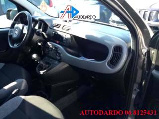 FIAT Panda usata, con Chiusura centralizzata