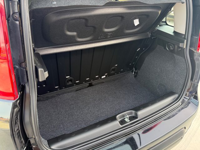 FIAT Panda usata 19