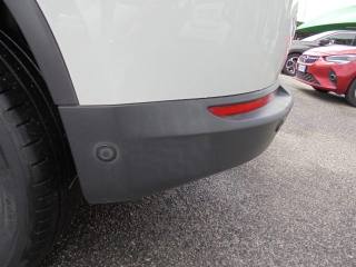 VOLKSWAGEN Tiguan usata, con ESP