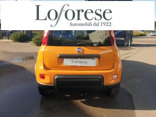 FIAT Panda usata, con Antifurto