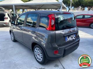FIAT Panda usata, con Boardcomputer