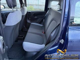 FIAT Panda usata, con Servosterzo