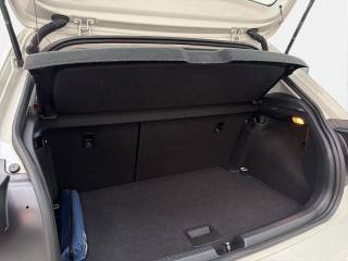 VOLKSWAGEN Polo usata, con ESP