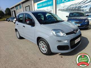 FIAT Panda usata, con Airbag Passeggero