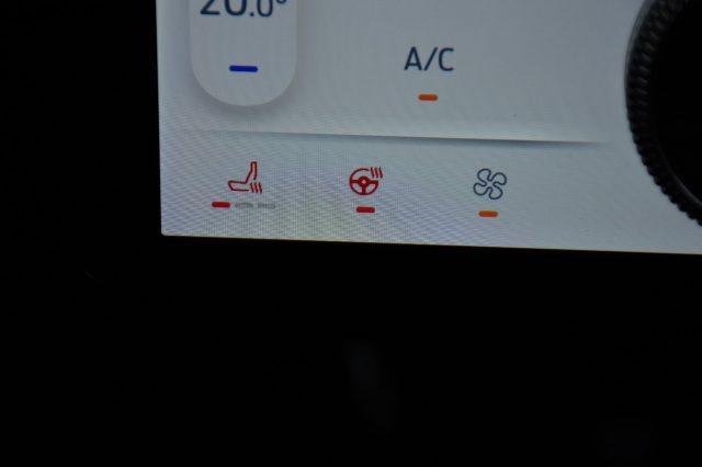 FORD Mustang Mach-E usata, con Volante in pelle