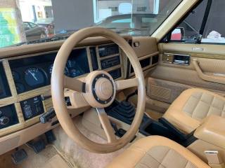 JEEP Cherokee usata 12
