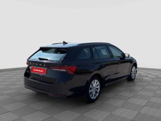 SKODA Octavia usata 4