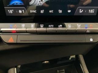 RENAULT Austral usata 25
