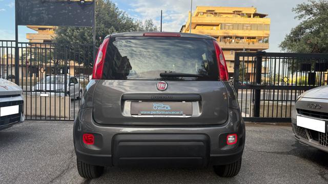 FIAT Panda usata, con Volante multifunzione