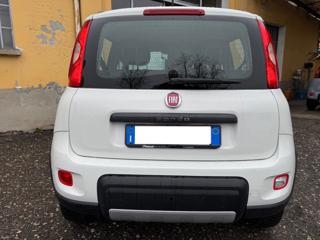 FIAT New Panda usata, con Alzacristalli elettrici