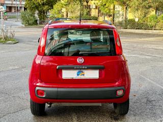 FIAT Panda usata, con Chiusura centralizzata
