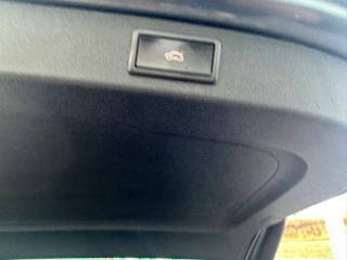 SKODA Kodiaq usata, con Cruise Control