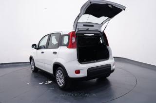 FIAT New Panda usata 29