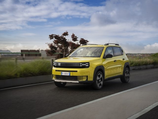 FIAT Grande Panda usata, con ABS