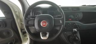 FIAT Panda usata 39