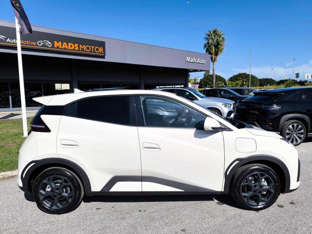 BYD Dolphin usata, con Airbag Passeggero