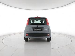 FIAT Panda usata, con Antifurto