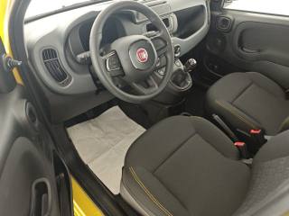 FIAT Panda usata, con Sensori di parcheggio posteriori