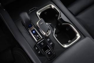 LEXUS RX 450h usata 13